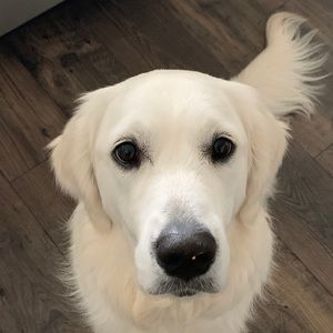 Meet your Posher, Aubrey